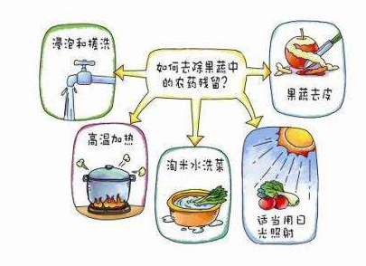 如何減少農(nóng)藥污染去除農(nóng)藥殘留？振華化工總結(jié)以下幾點(diǎn)分享給大家